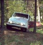Wald 3JPG